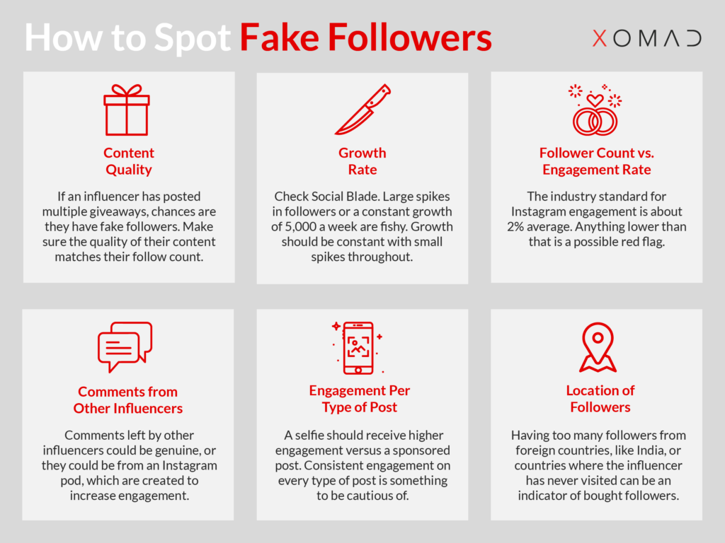 Fake Followers Infographic 